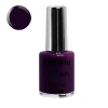 Andreia - Verniz Hybrid Gel Fusion Color H78 Roxo Amora