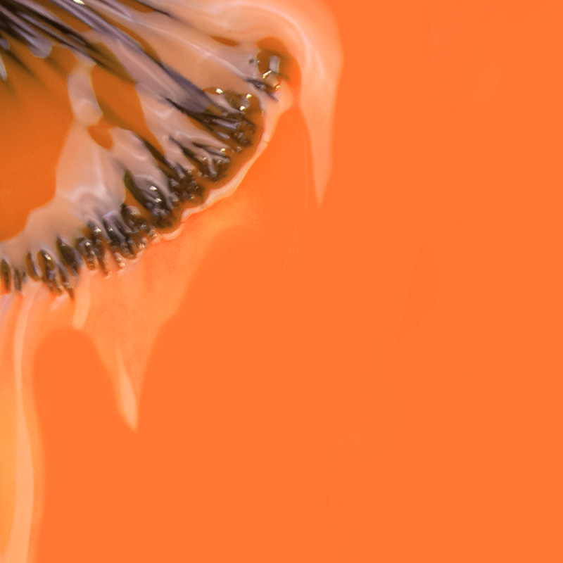 REF. 91.18.475 Apresentamos-te o Verniz Gel INOCOS Maria Azulejo da Coleção As Marias. Cor Laranja Ceramico Detalhes: Verniz Gel Vegan Quantidade: 15ml Modo de uso: Após a aplicação da Base, aplica uma ou duas camadas finas de Verniz Gel. Catalisa em Lâmpada UV (120s) ou LED (60s). PRECAUÇÕES: USO PROFISSIONAL. EVITAR CONTACTO COM A PELE, PODE PROVOCAR REAÇÃO ALÉRGICA. LER AS INSTRUÇÕES DE USO. MANTER FORA DO ALCANCE DAS CRIANÇAS. ARMAZENAR FECHADO, SEM EXPOSIÇÃO À LUZ.